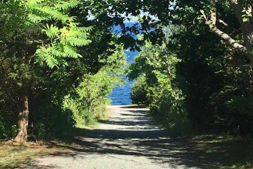 Path with trees and ocean